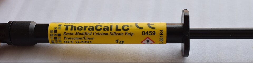Cam İyonomer Siman